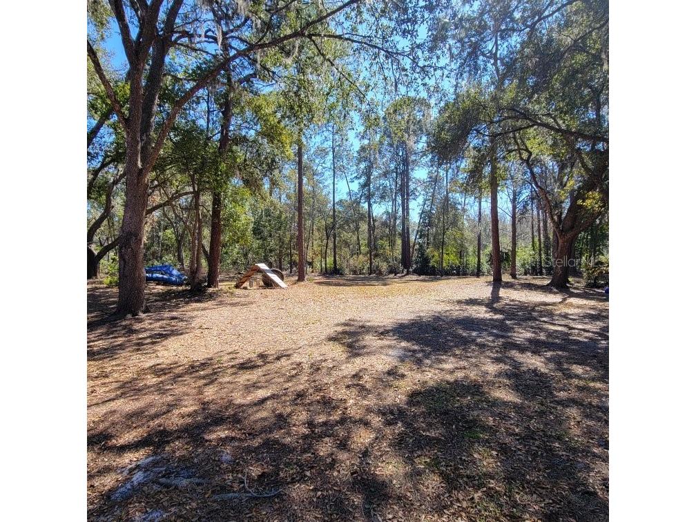 28800 Walker Drive Wesley Chapel FL 33544 TB8474448 image62