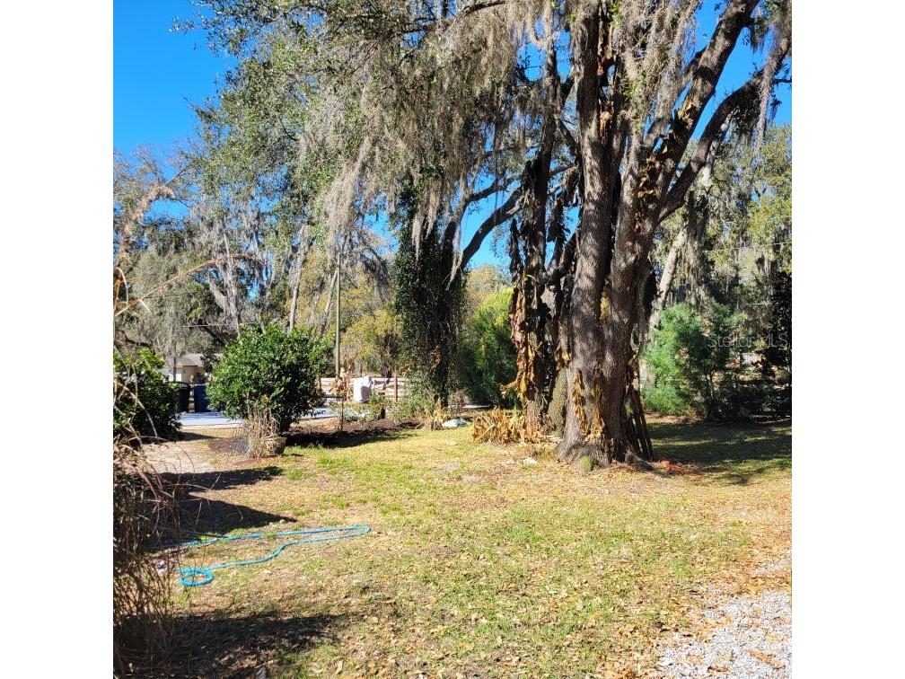 28800 Walker Drive Wesley Chapel FL 33544 TB8474448 image63