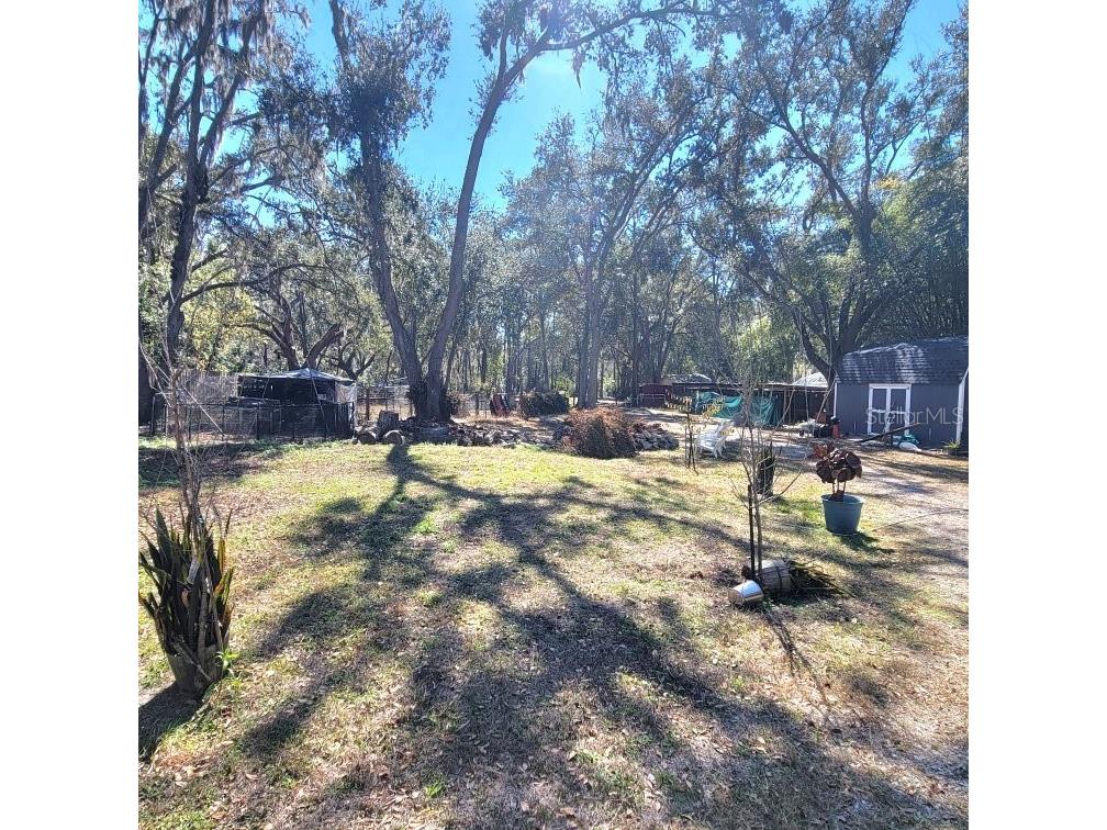 28800 Walker Drive Wesley Chapel FL 33544 TB8474448 image67