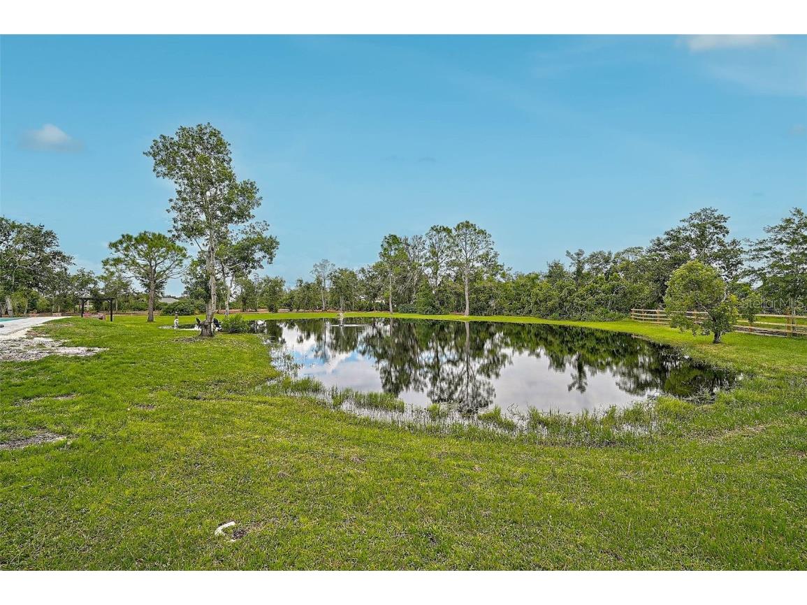 28801 100th Drive E Myakka City FL 34251 N6140283 image68