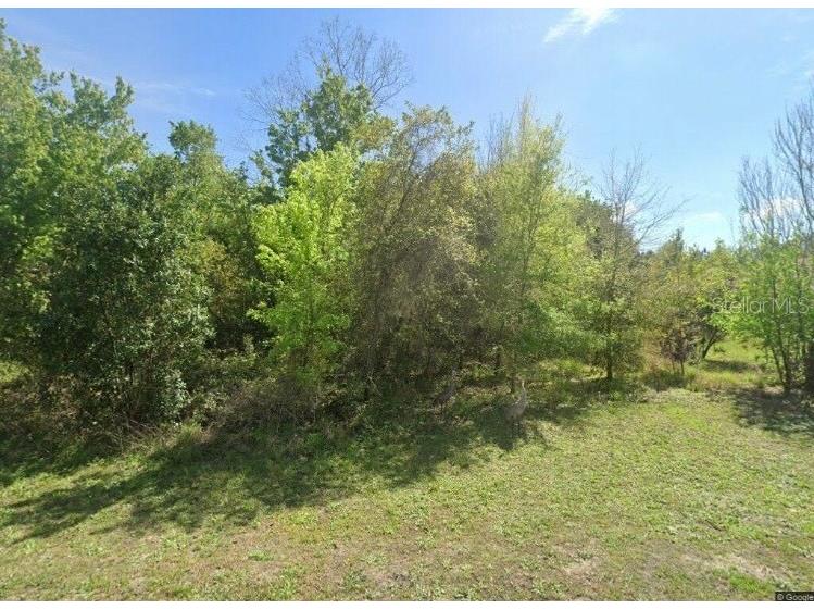 28802 Hibiscus Avenue Paisley FL 32767 OM687226 image1