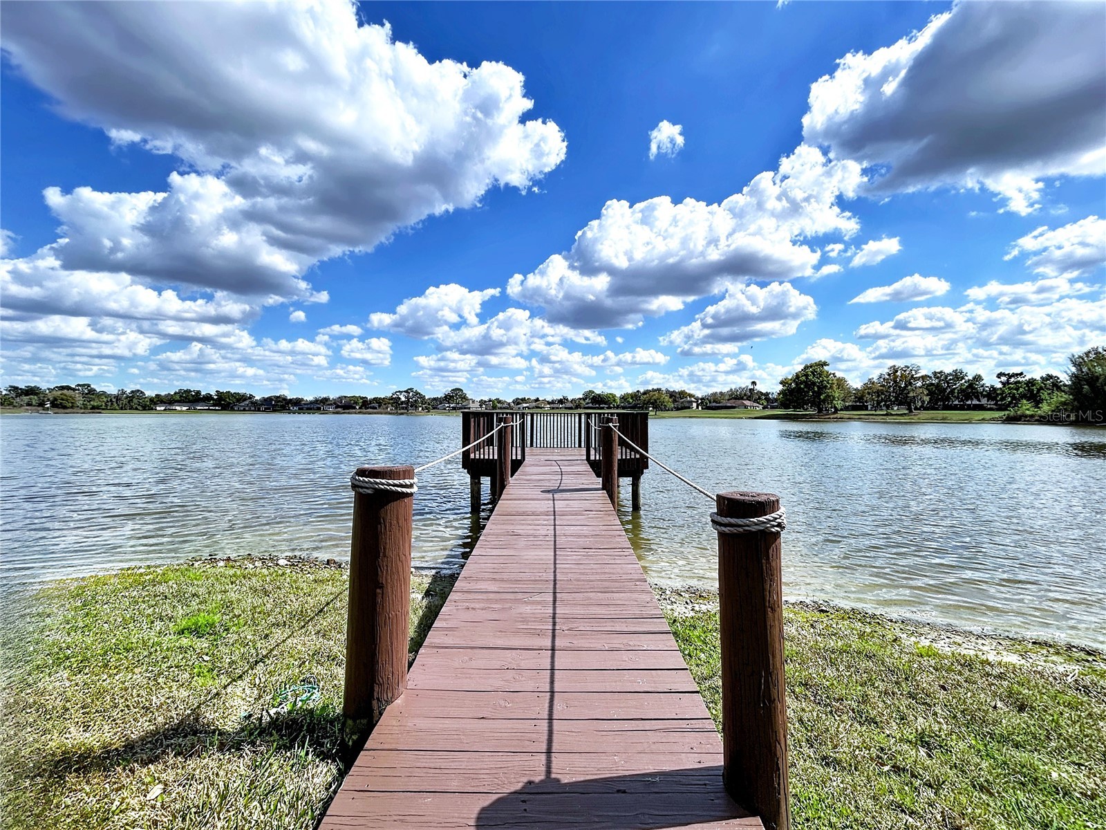 2881 Hammock Drive Plant City FL 33566 TB8522214 image2
