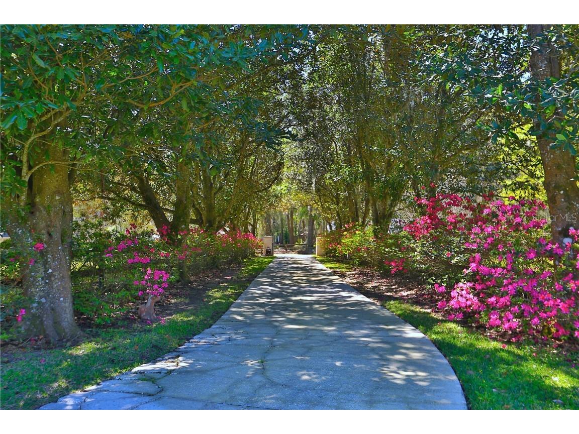 2881 SE 41st Place Ocala FL 34480 OM697766 image2