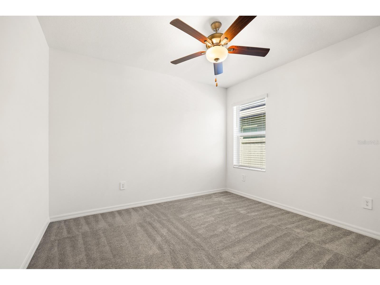 2881 Silver Scallop Loop Wimauma FL 33598 TB8505430 image18