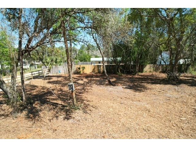 28815 Azalea Avenue Paisley FL 32767 G5111020 image10