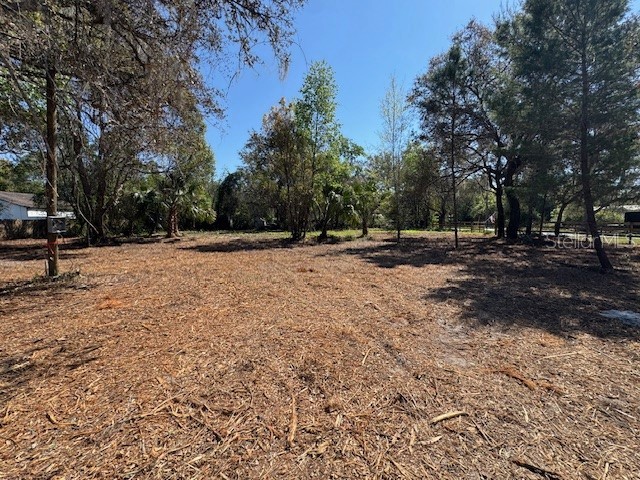 28815 Azalea Avenue Paisley FL 32767 G5111020 image8