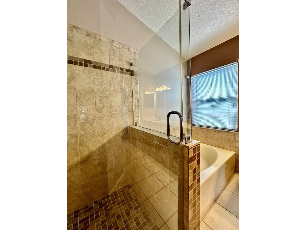 28820 Stormcloud Pass Wesley Chapel FL 33543 TB8453417 image23