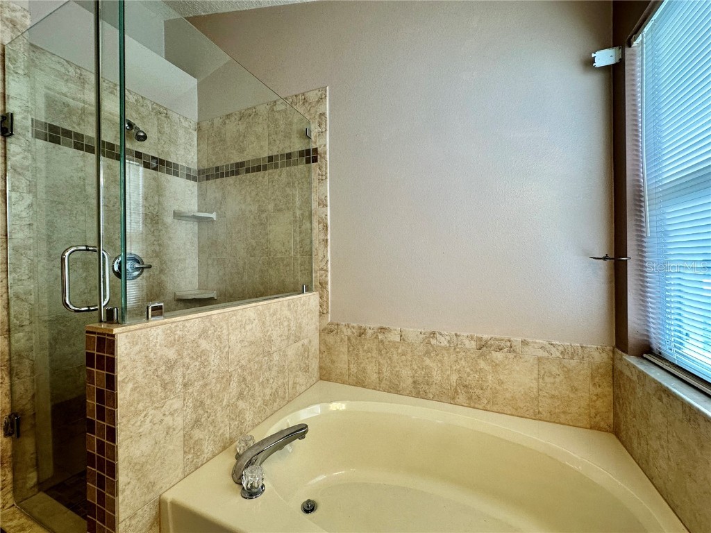 28820 Stormcloud Pass Wesley Chapel FL 33543 TB8453417 image24