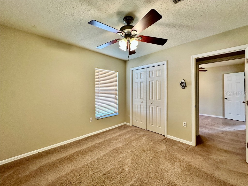 28820 Stormcloud Pass Wesley Chapel FL 33543 TB8453417 image27