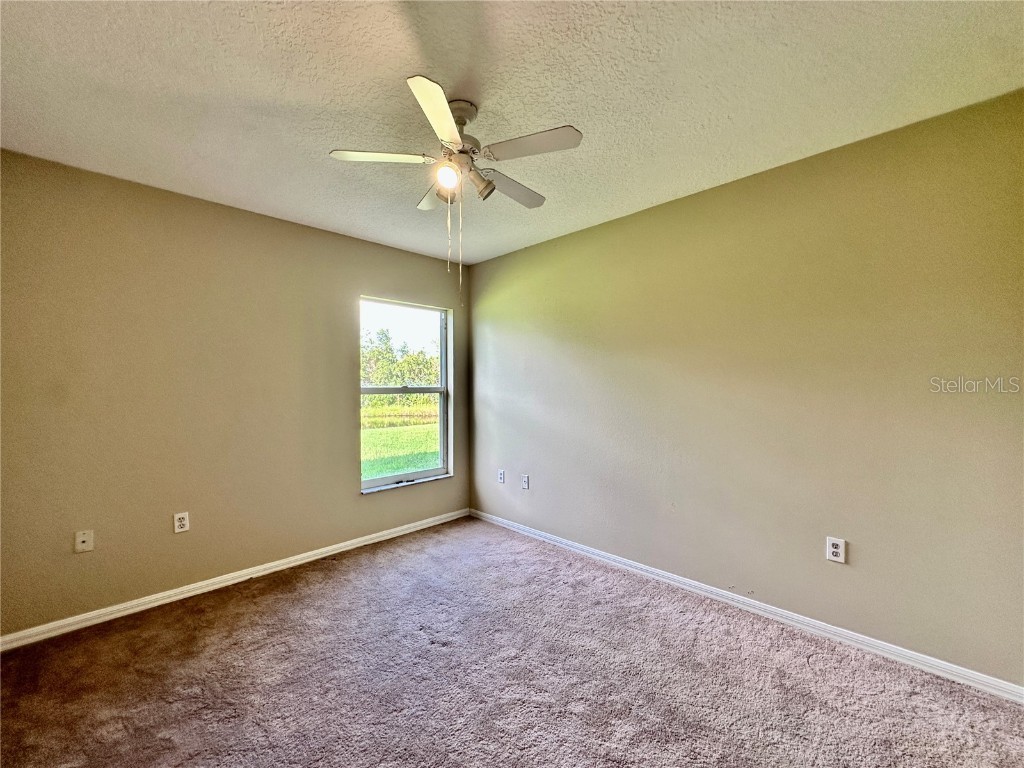 28820 Stormcloud Pass Wesley Chapel FL 33543 TB8453417 image29