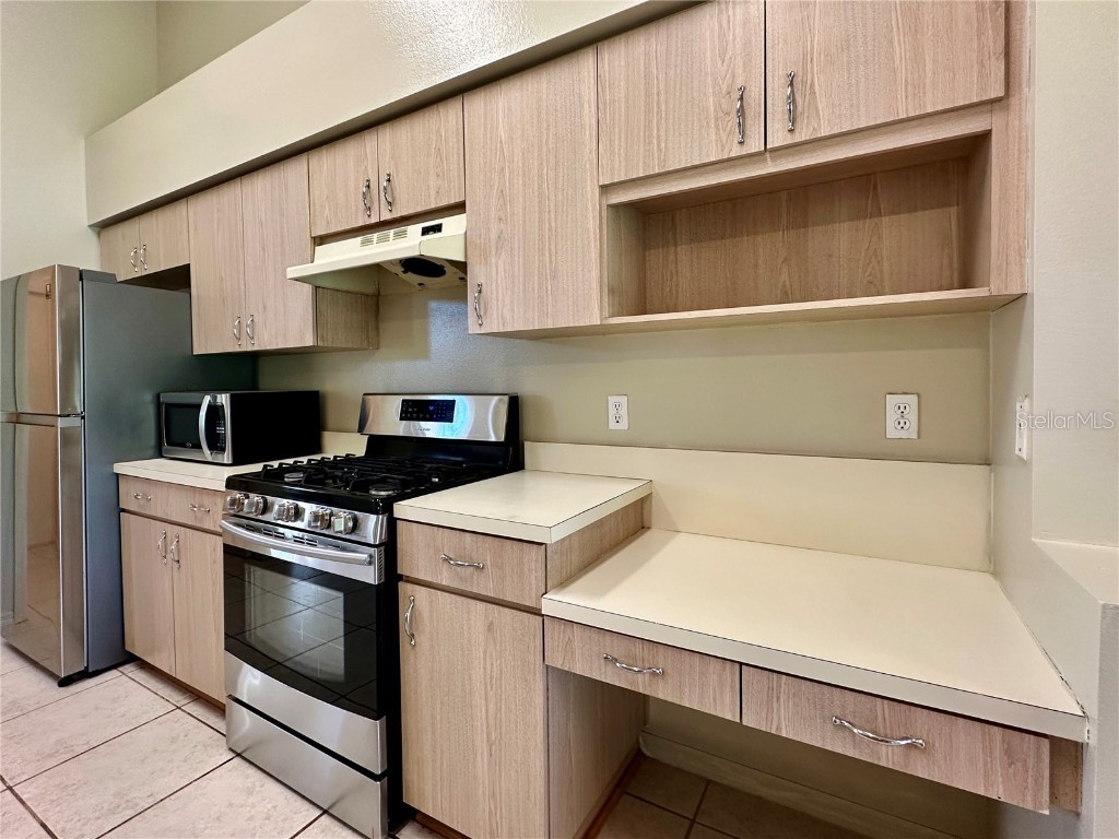 28820 Stormcloud Pass Wesley Chapel FL 33543 TB8453417 image9