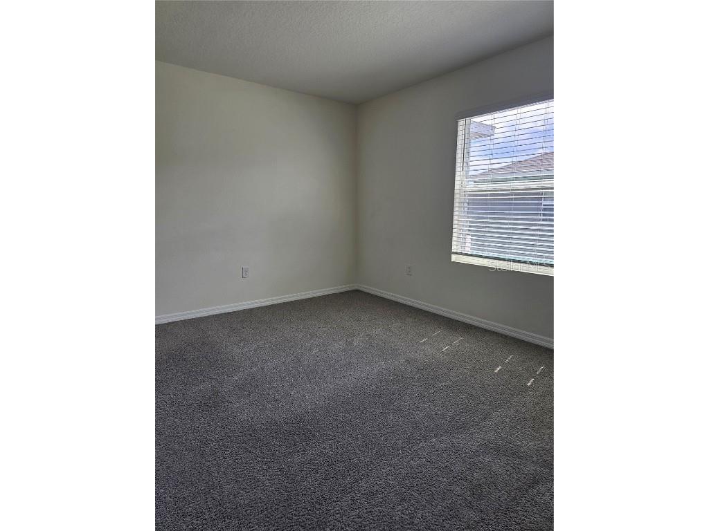 2883 Evergreen Elm Pass Wesley Chapel FL 33543 TB8452436 image10