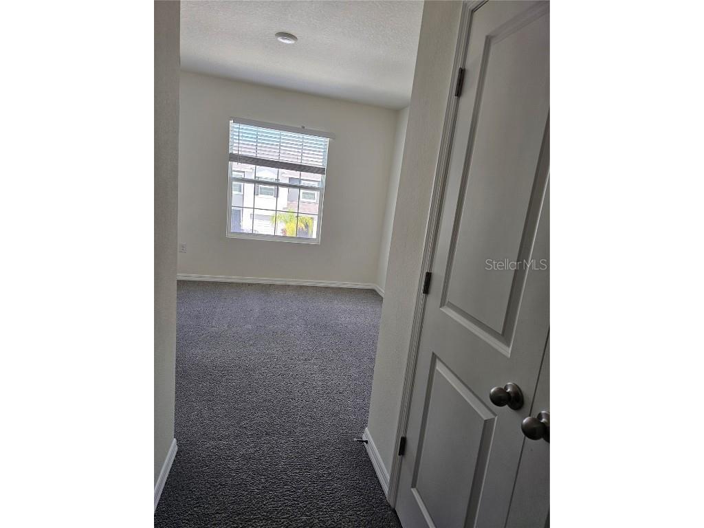 2883 Evergreen Elm Pass Wesley Chapel FL 33543 TB8452436 image7