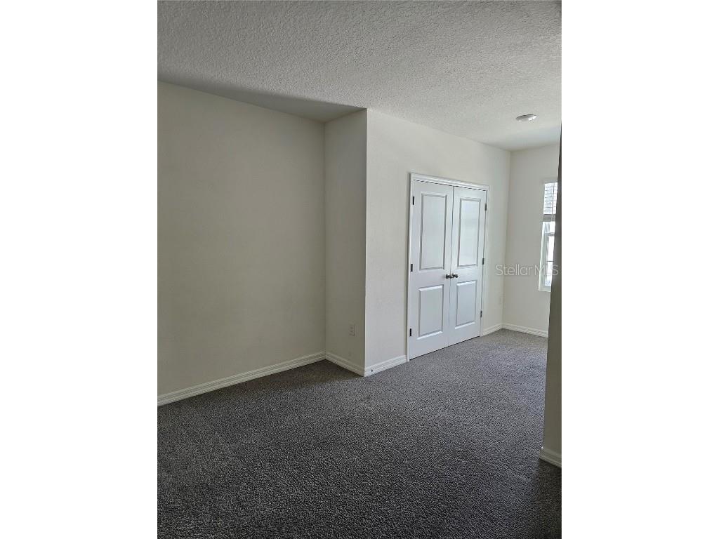 2883 Evergreen Elm Pass Wesley Chapel FL 33543 TB8452436 image9