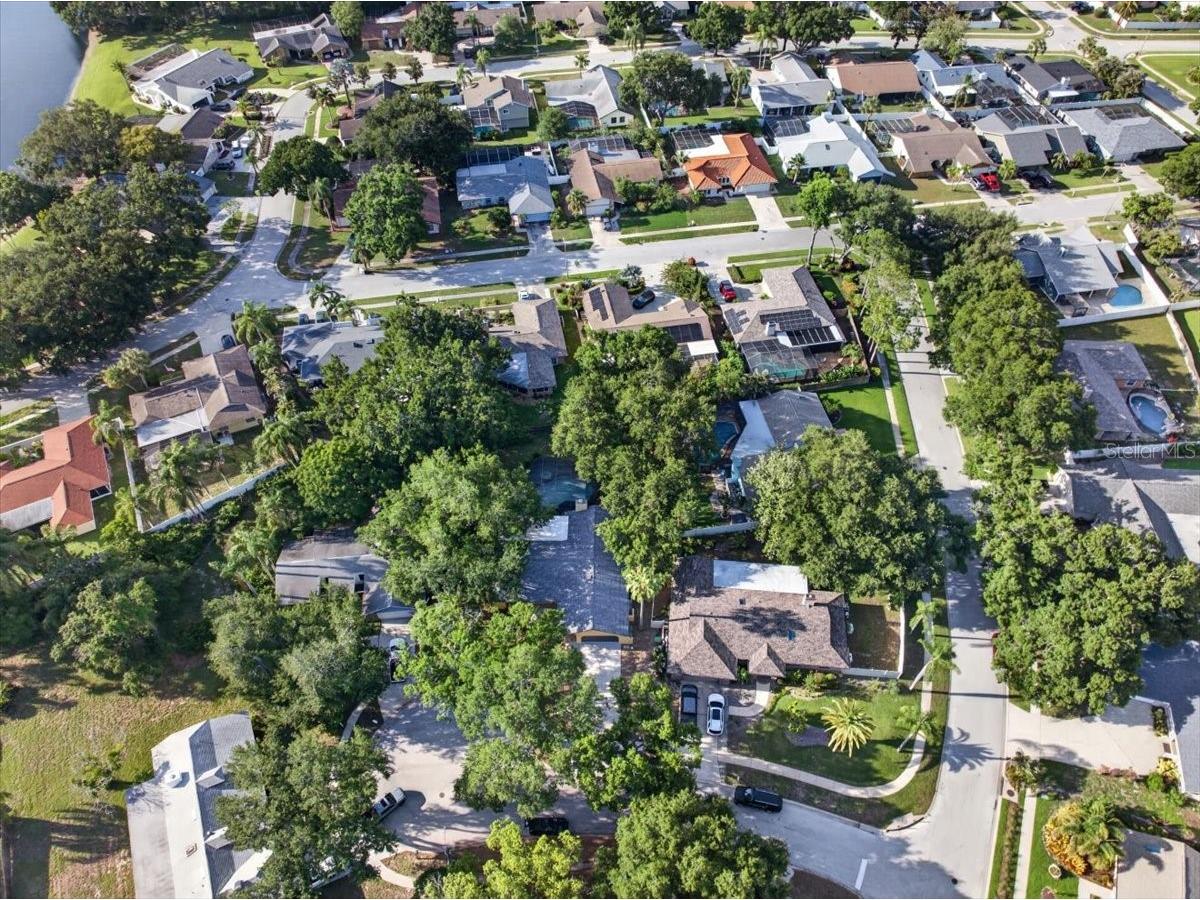 2883 Mandarin Place Palm Harbor FL 34684 TB8521394 image53