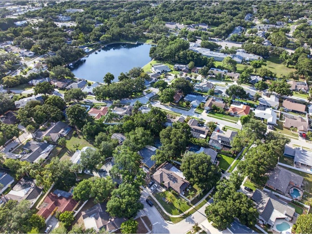 2883 Mandarin Place Palm Harbor FL 34684 TB8521394 image54