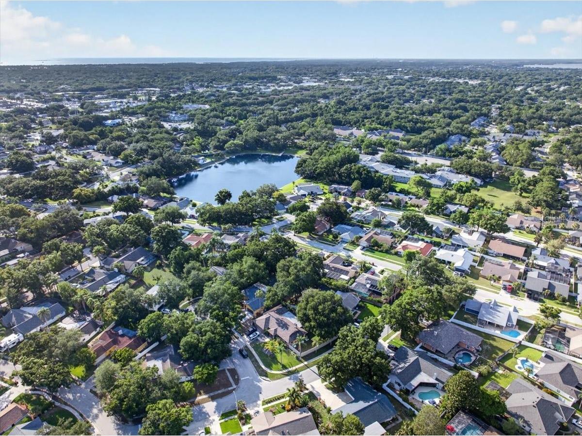 2883 Mandarin Place Palm Harbor FL 34684 TB8521394 image55