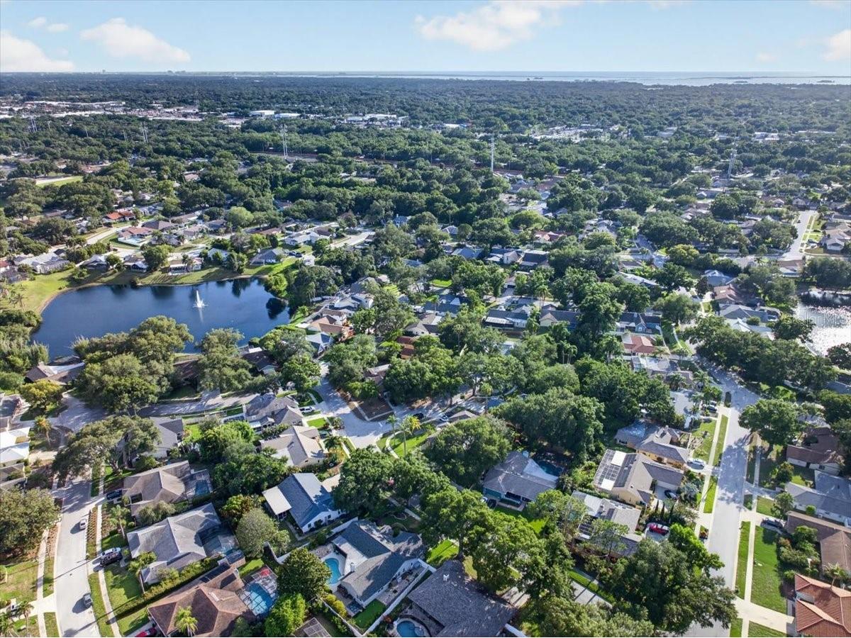 2883 Mandarin Place Palm Harbor FL 34684 TB8521394 image57