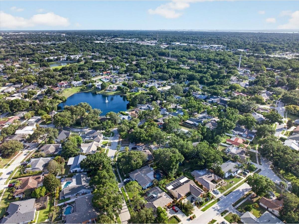 2883 Mandarin Place Palm Harbor FL 34684 TB8521394 image58