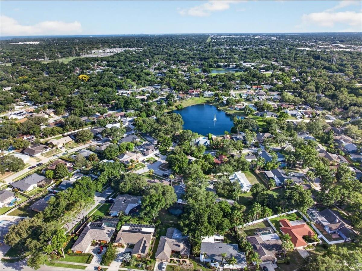2883 Mandarin Place Palm Harbor FL 34684 TB8521394 image59