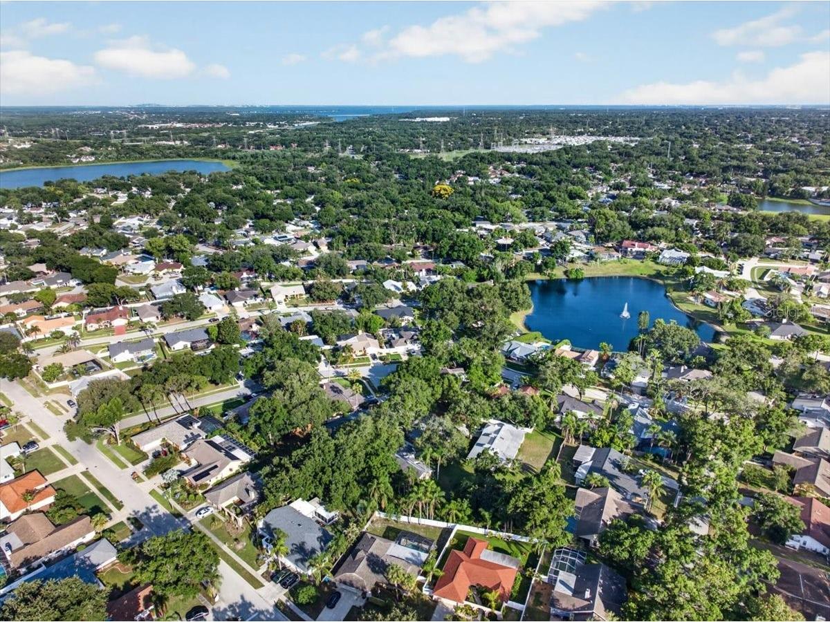 2883 Mandarin Place Palm Harbor FL 34684 TB8521394 image60
