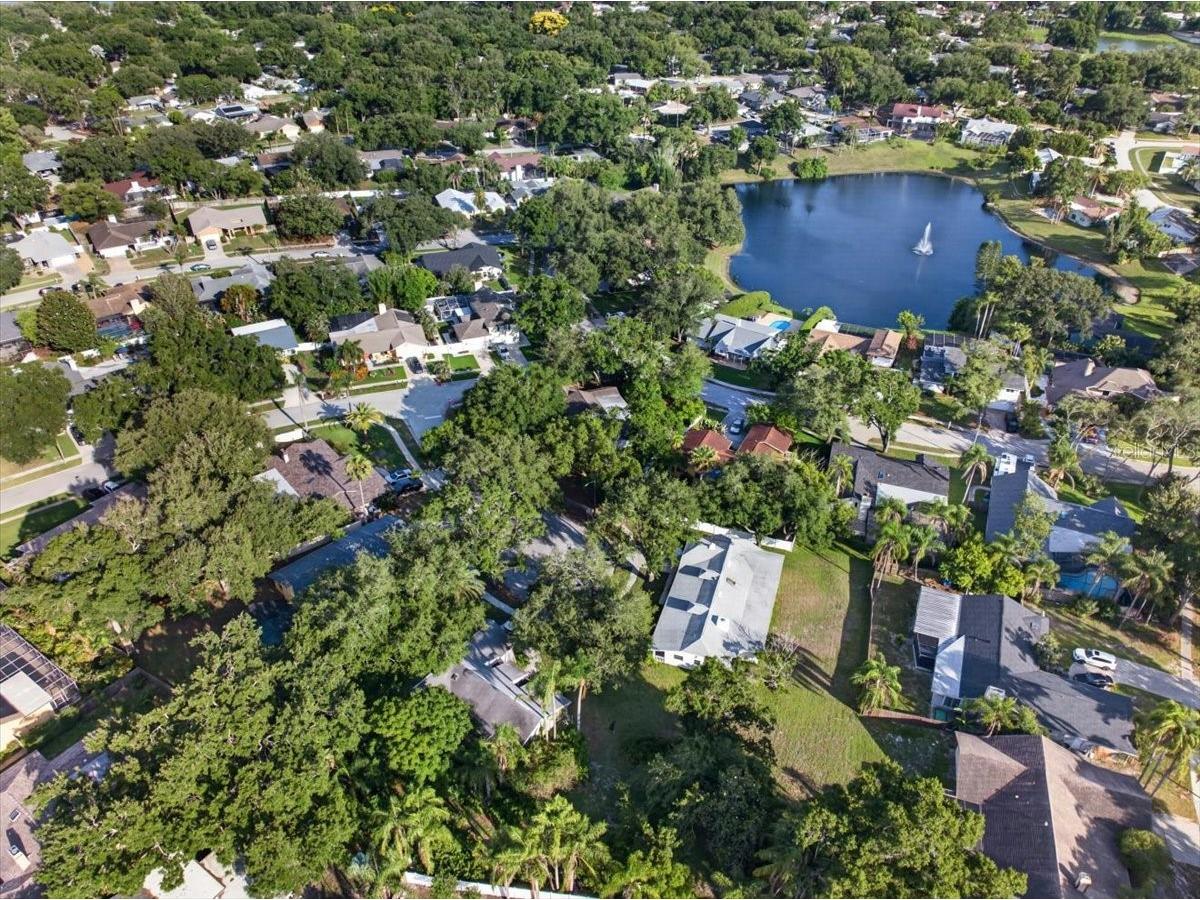 2883 Mandarin Place Palm Harbor FL 34684 TB8521394 image61