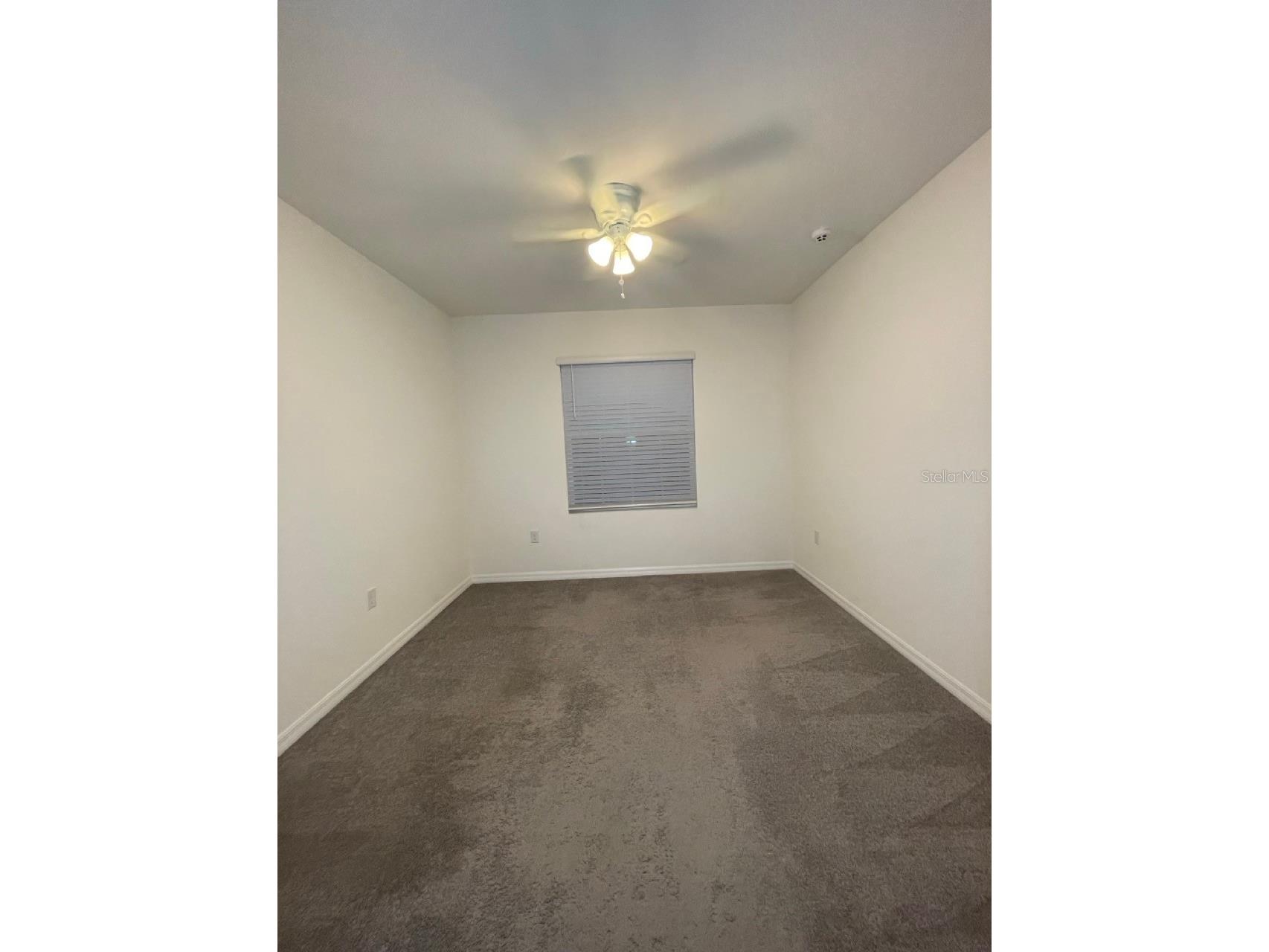 2883 Peony Prairie Lane Wesley Chapel FL 33543 TB8512978 image14