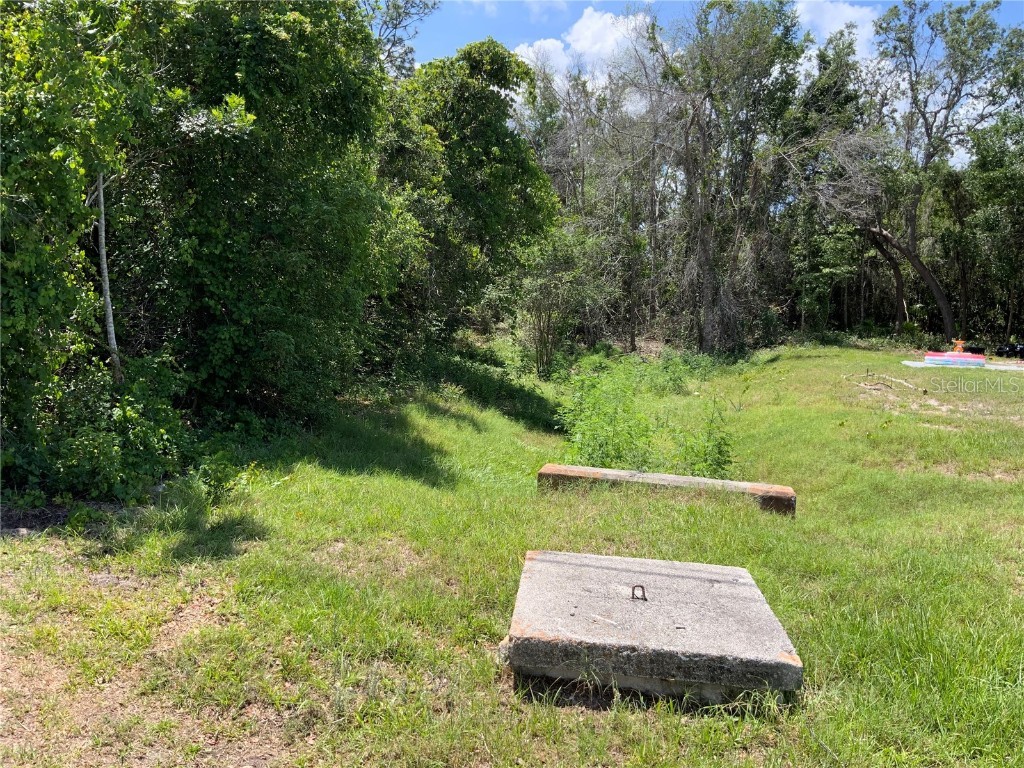 2883 Staten Drive Deltona FL 32738 A4571501 image3