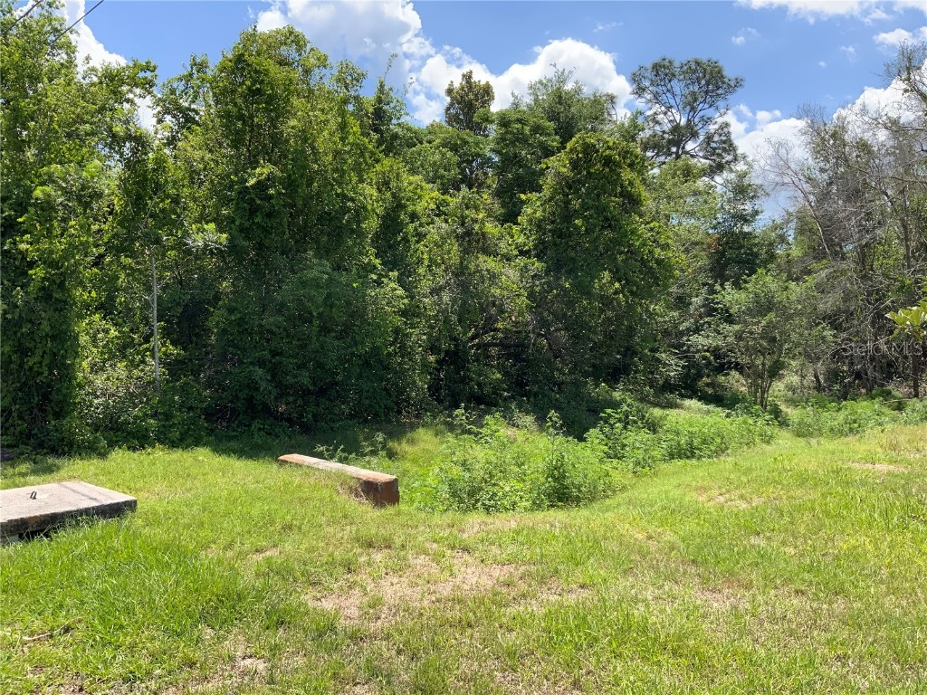 2883 Staten Drive Deltona FL 32738 A4571501 image4