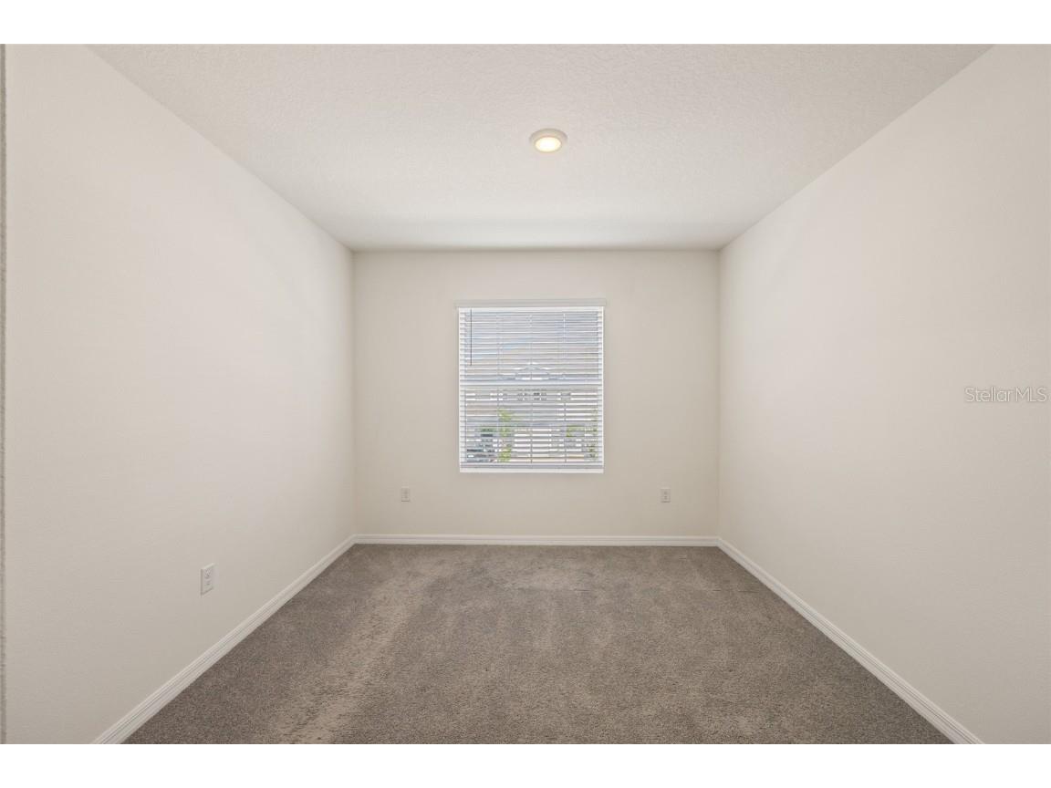 2884 Evergreen Elm Pass Wesley Chapel FL 33543 A4662560 image18