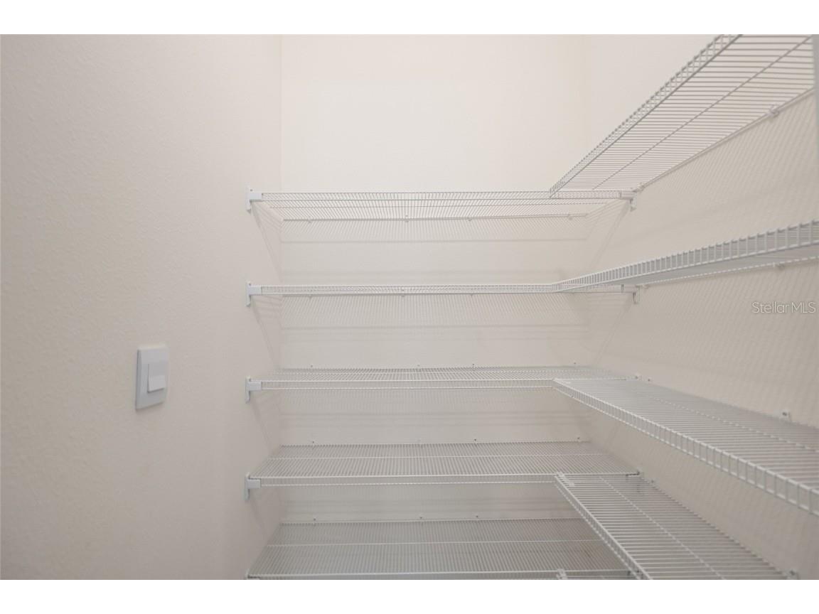 2884 Evergreen Elm Pass Wesley Chapel FL 33543 A4662560 image8