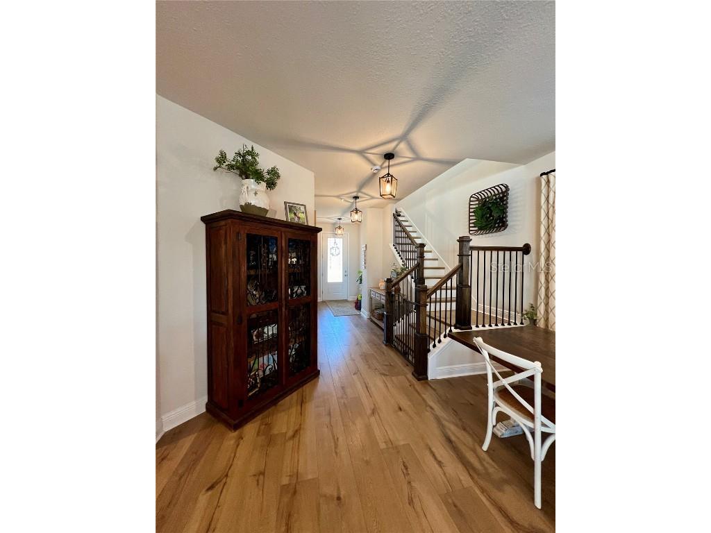 28841 Orange Berry Drive Wesley Chapel FL 33543 TB8457848 image10