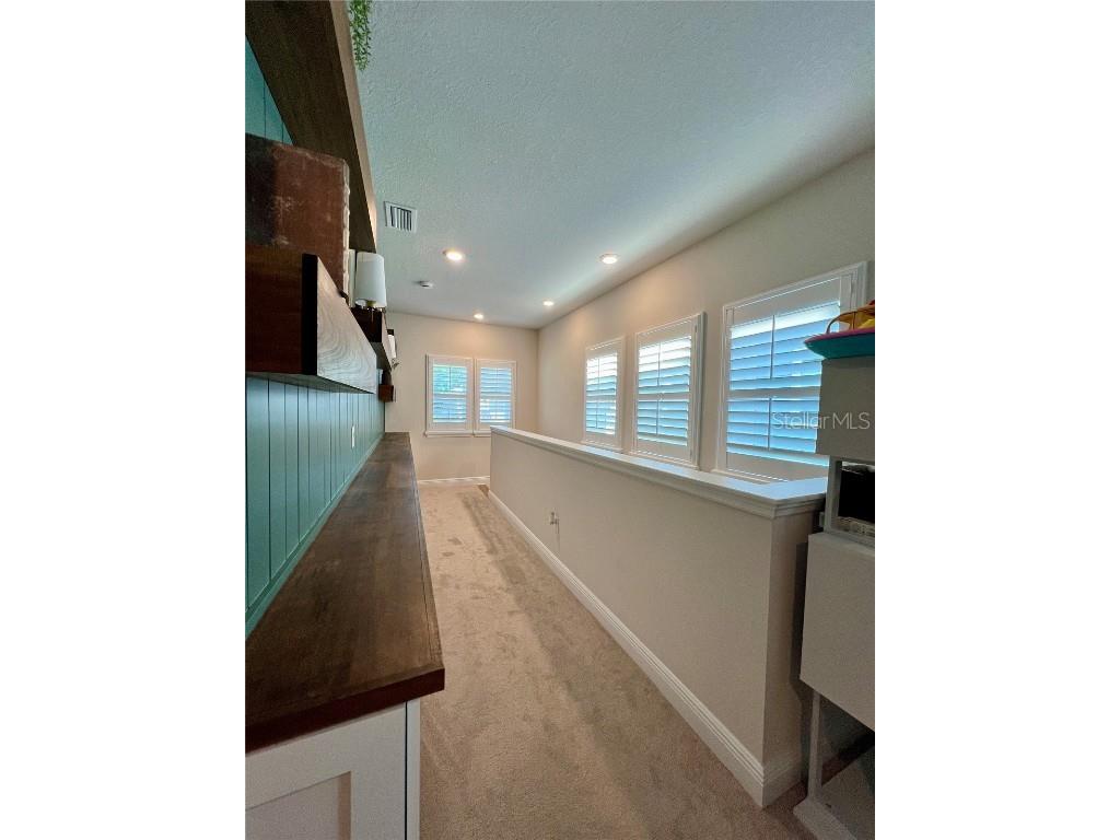 28841 Orange Berry Drive Wesley Chapel FL 33543 TB8457848 image18