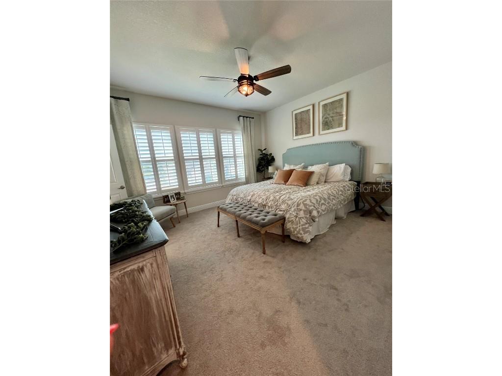 28841 Orange Berry Drive Wesley Chapel FL 33543 TB8457848 image22