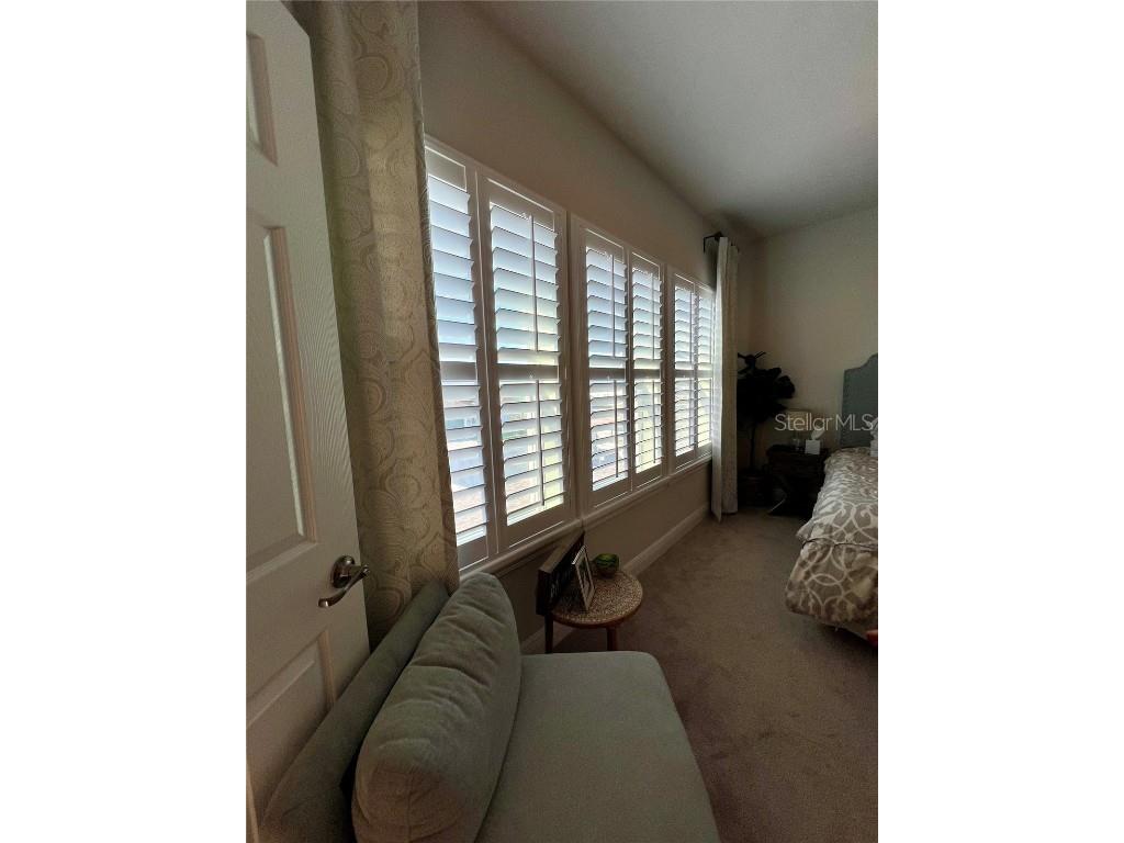 28841 Orange Berry Drive Wesley Chapel FL 33543 TB8457848 image23