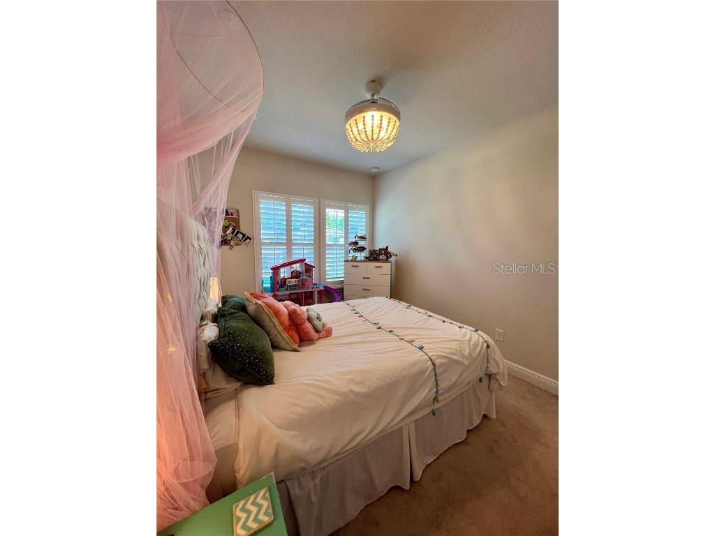 28841 Orange Berry Drive Wesley Chapel FL 33543 TB8457848 image26