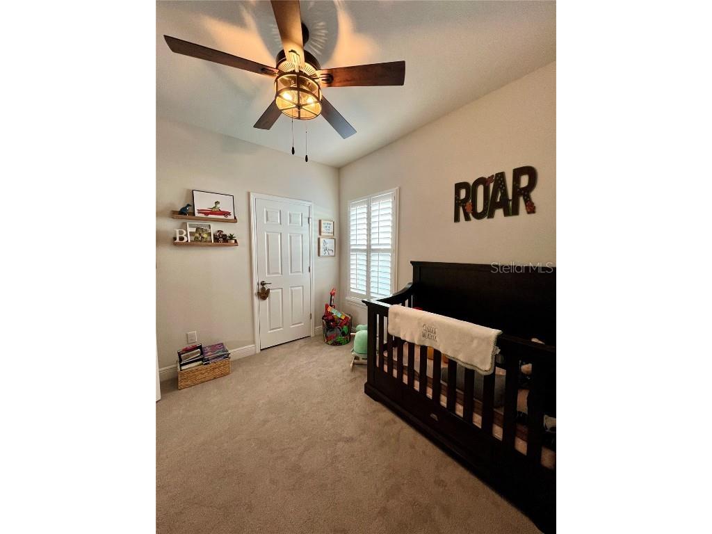 28841 Orange Berry Drive Wesley Chapel FL 33543 TB8457848 image27