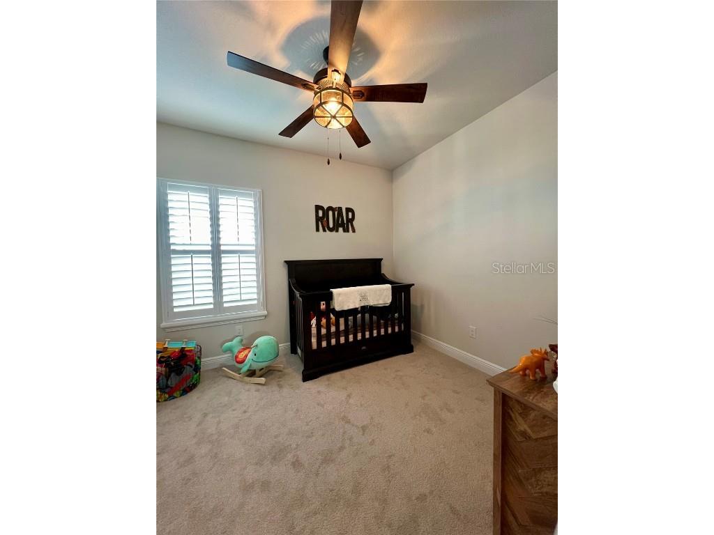 28841 Orange Berry Drive Wesley Chapel FL 33543 TB8457848 image28