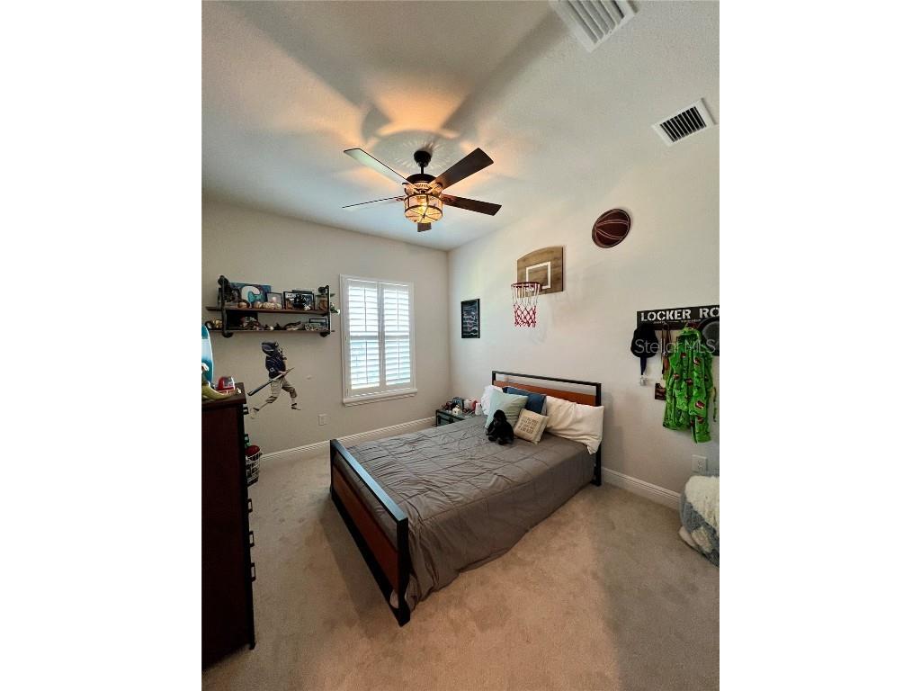 28841 Orange Berry Drive Wesley Chapel FL 33543 TB8457848 image30