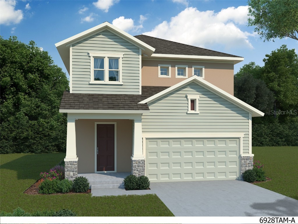 28847 Orange Berry Drive Wesley Chapel FL 33543 T3429174 image1