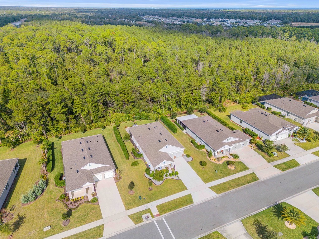 2885 Monaghan Drive Ormond Beach FL 32174 NS1086717 image74