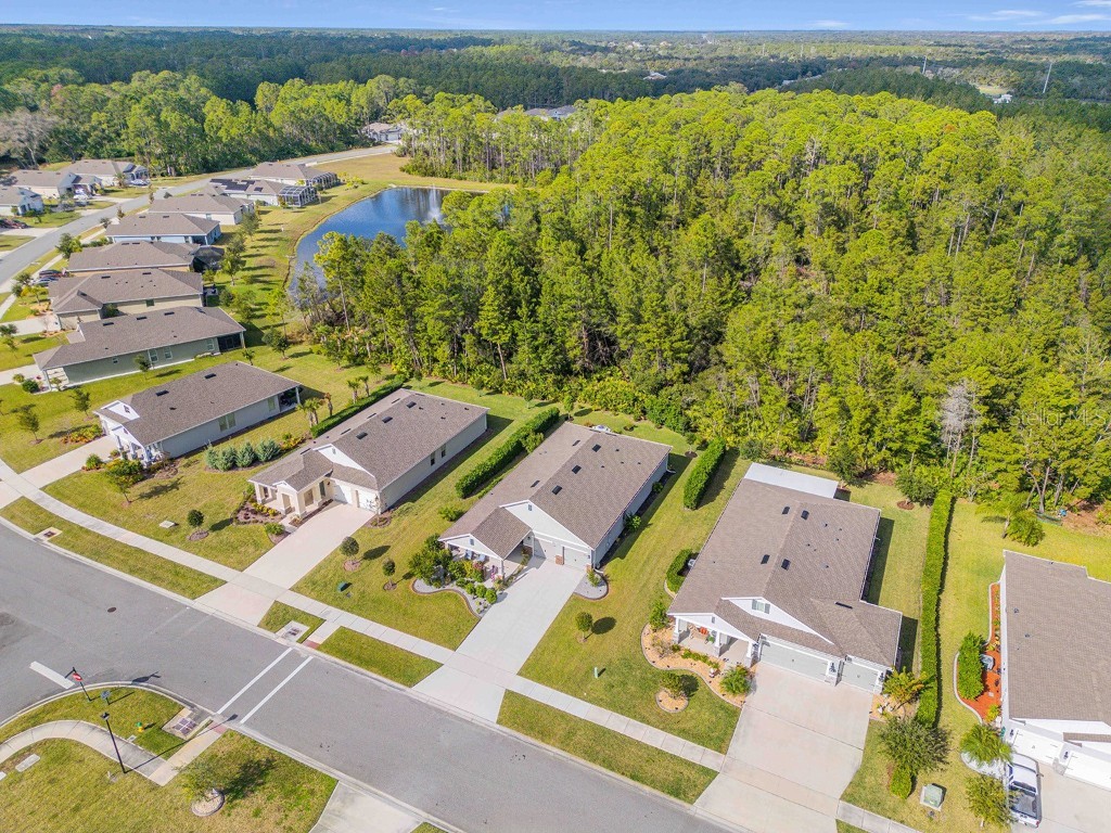 2885 Monaghan Drive Ormond Beach FL 32174 NS1086717 image75