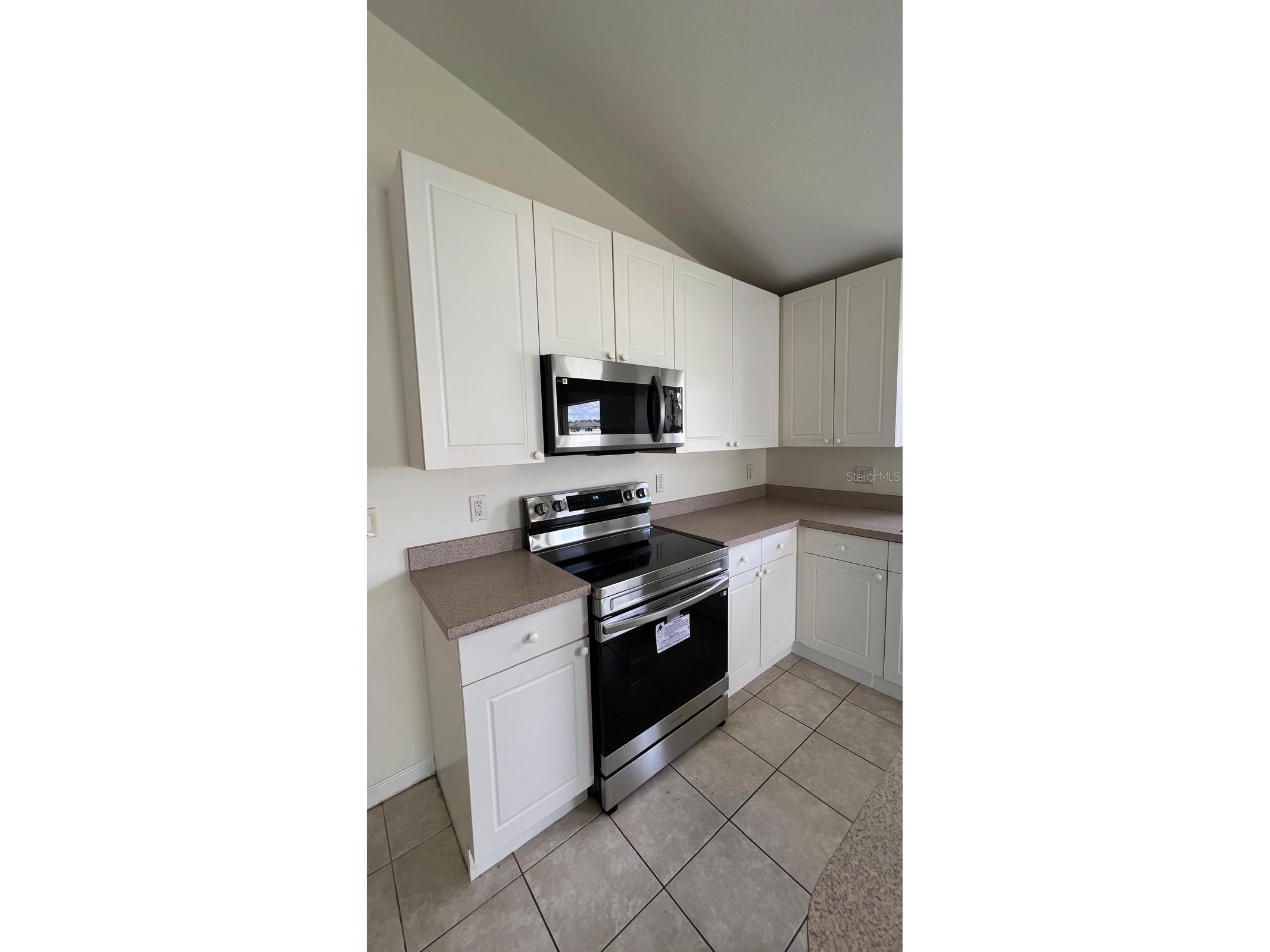 2885 Oconnell Drive Kissimmee FL 34741 S5151280 image11