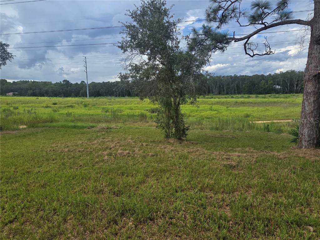 2885 W Redgate Drive Citrus Springs FL 34433 W7878555 image19