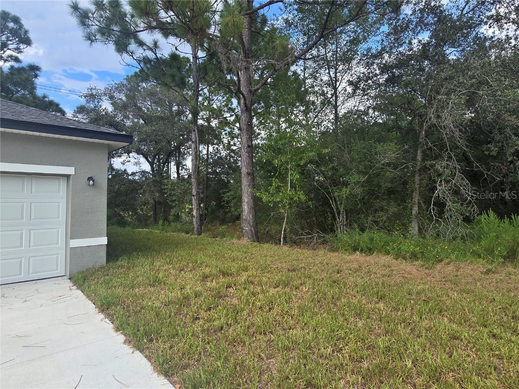 2885 W Redgate Drive Citrus Springs FL 34433 W7878555 image7