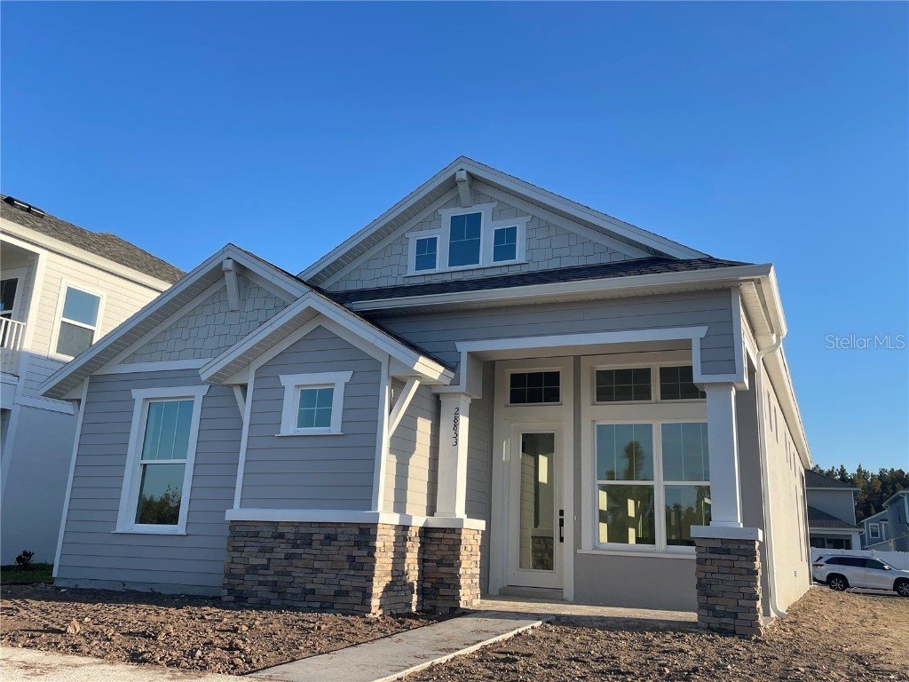 28853 Seedling Street Wesley Chapel FL 33543 T3470917 image1