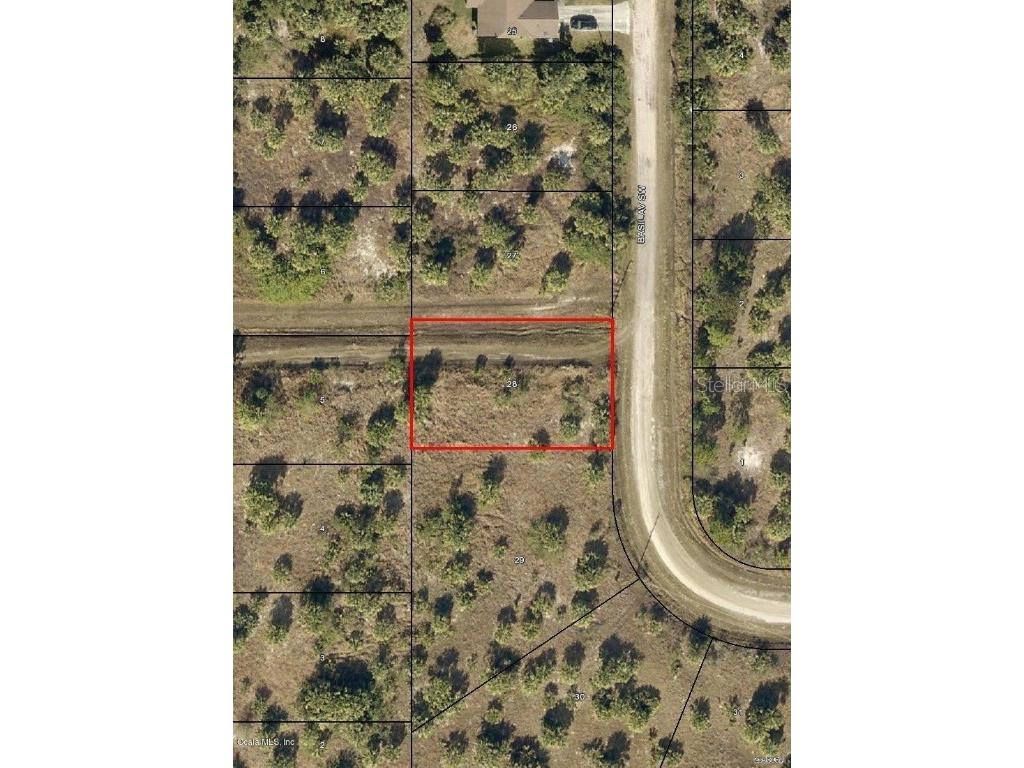 2886 Basil Avenue SW Palm Bay FL 32908 OM674578 image1