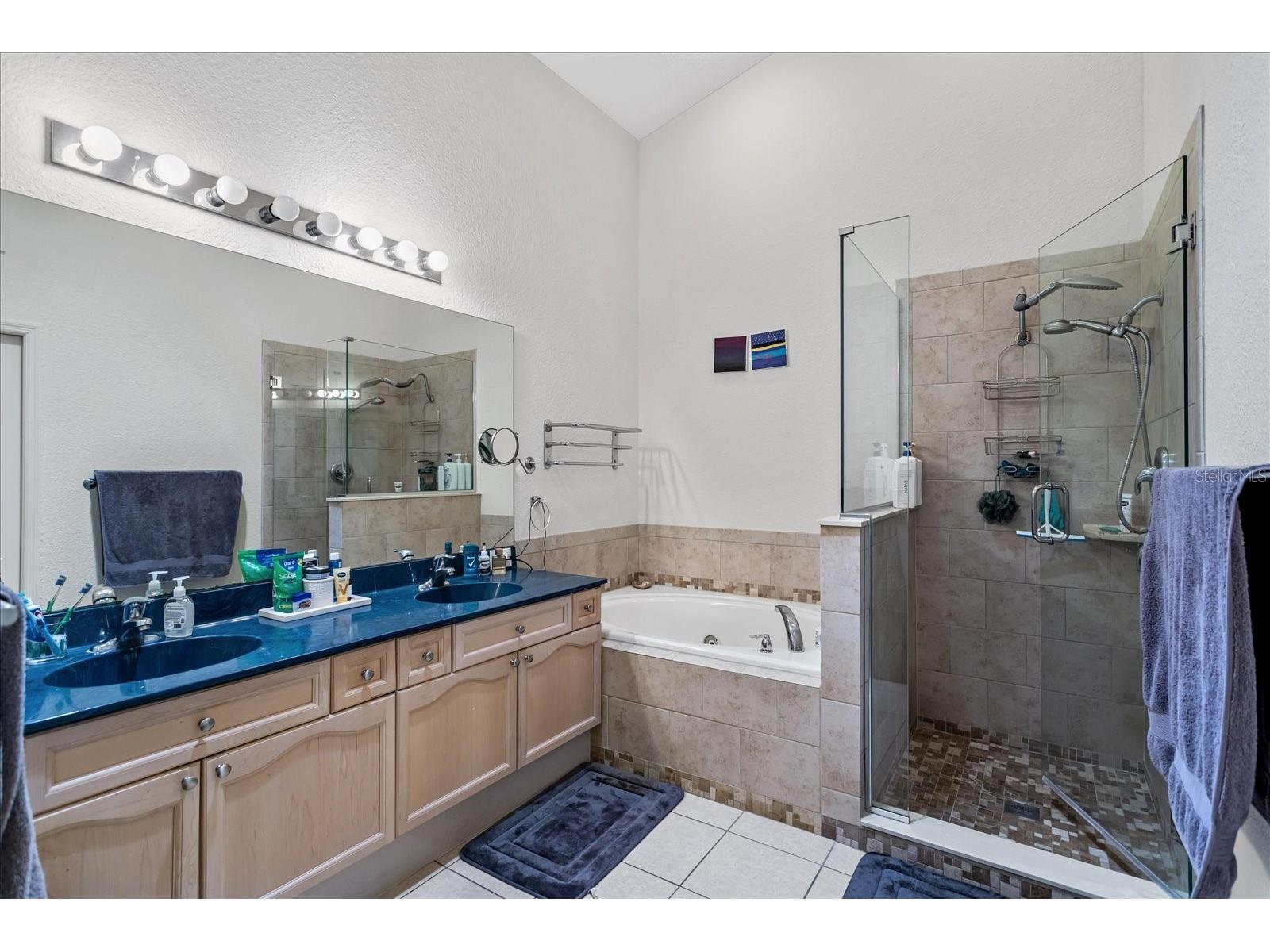 2886 Oconnell Drive Kissimmee FL 34741 O6405575 image14