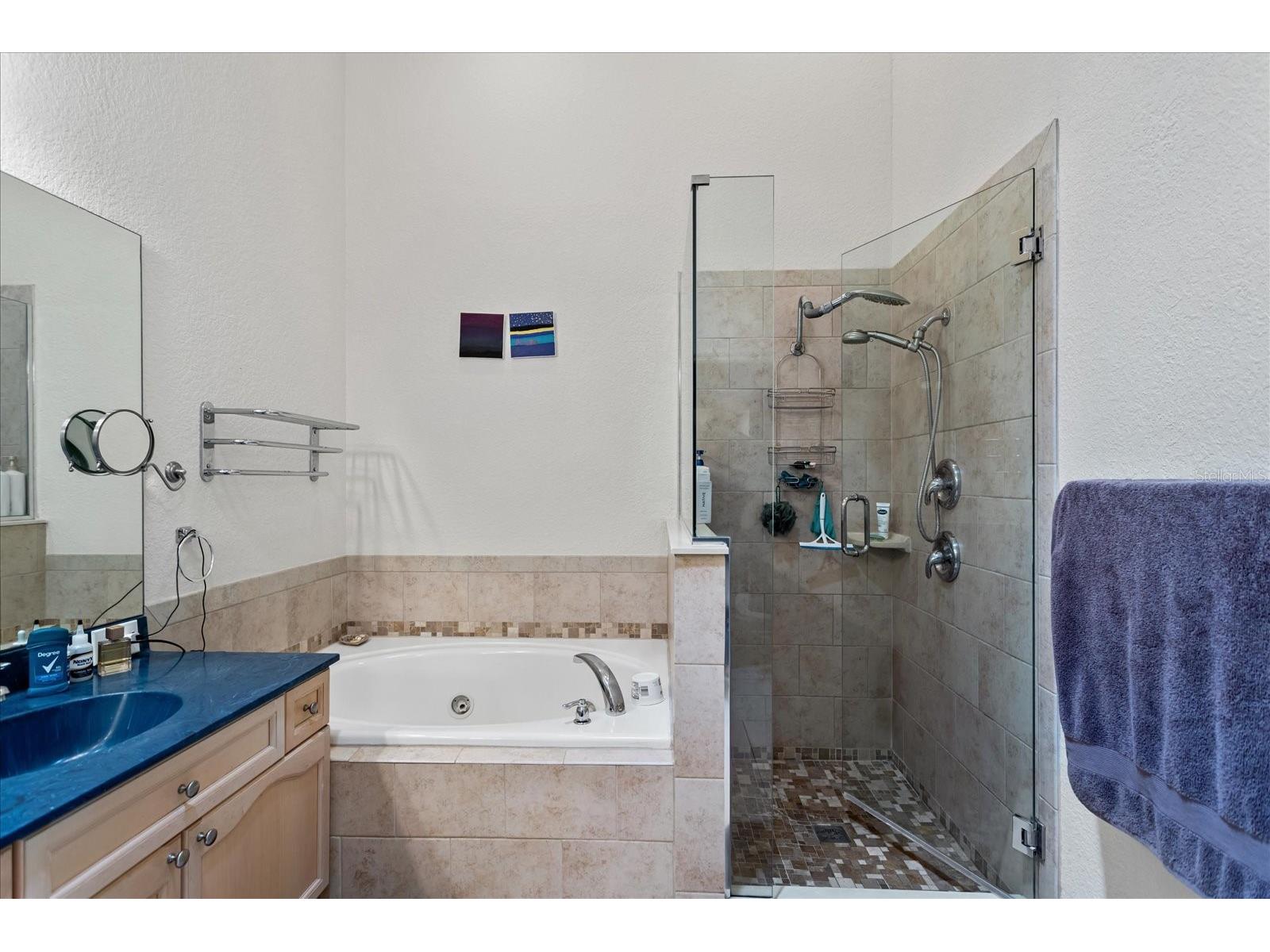 2886 Oconnell Drive Kissimmee FL 34741 O6405575 image15