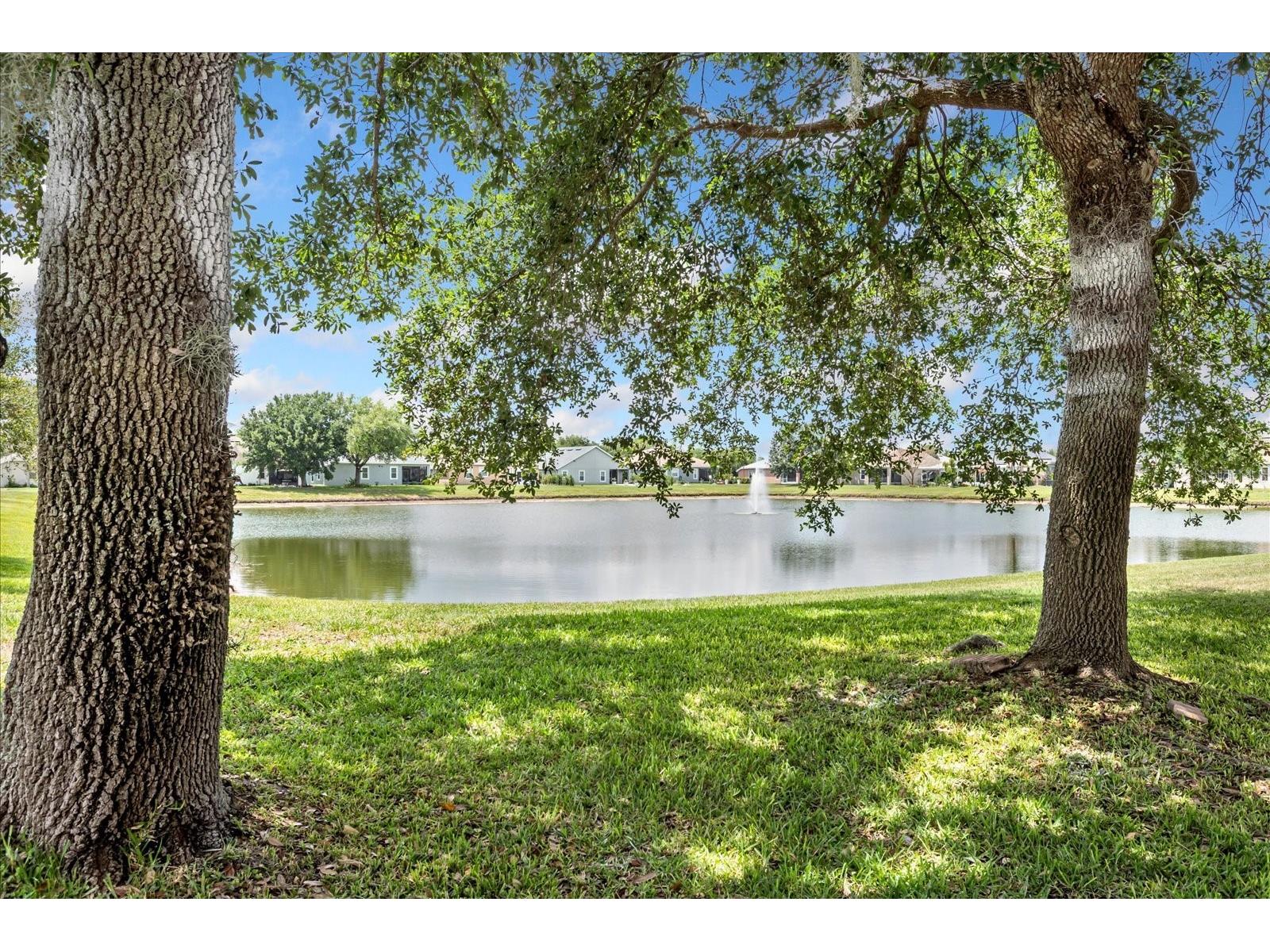2886 Oconnell Drive Kissimmee FL 34741 O6405575 image21